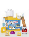 Lankybox-Lanky-Box-Big-Boxy-Mystery-Box-4